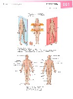 Sobotta Atlas of Human Anatomy  Head,Neck,Upper Limb Volume1 2006, page 8
